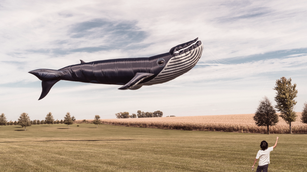 child flying a humpback whale kite in a field